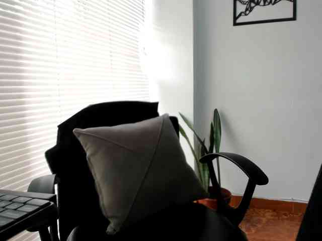 merlinaa-adams webcam