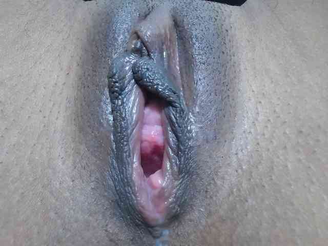 paulina-evans webcam