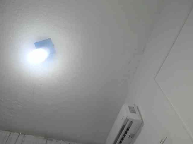 paulina-evans webcam