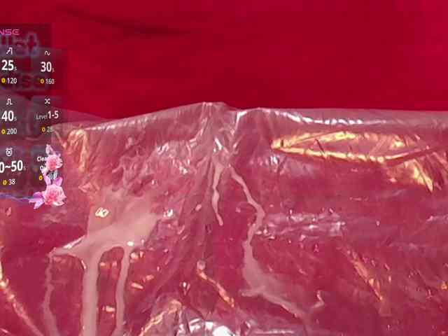 queensquirtluna webcam