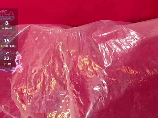 queensquirtluna webcam