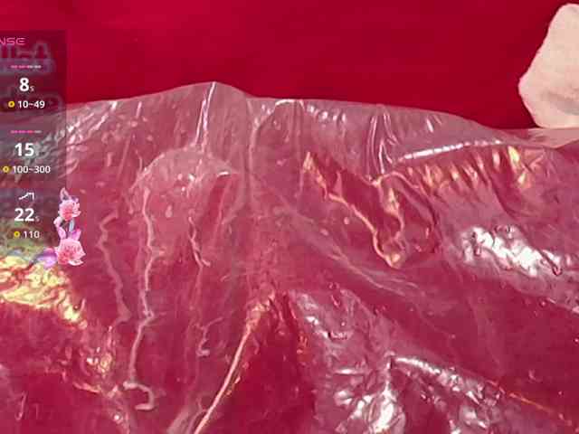 queensquirtluna webcam