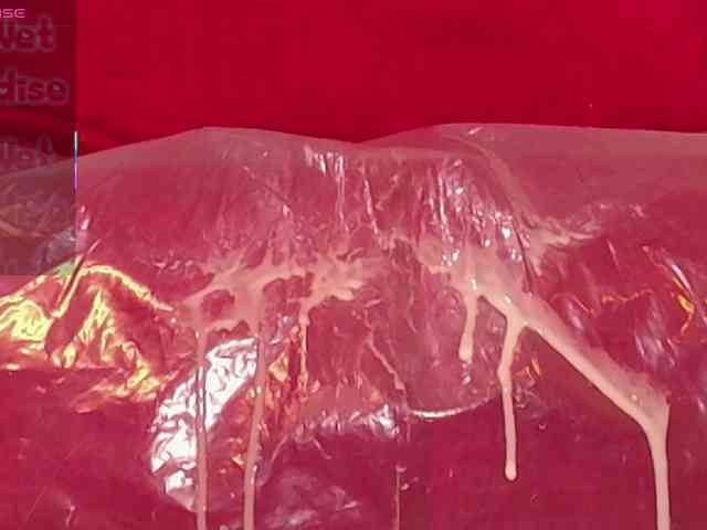 queensquirtluna webcam