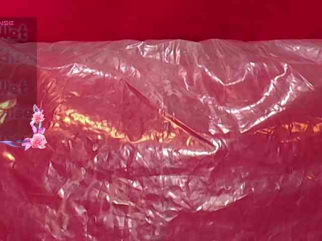 queensquirtluna webcam