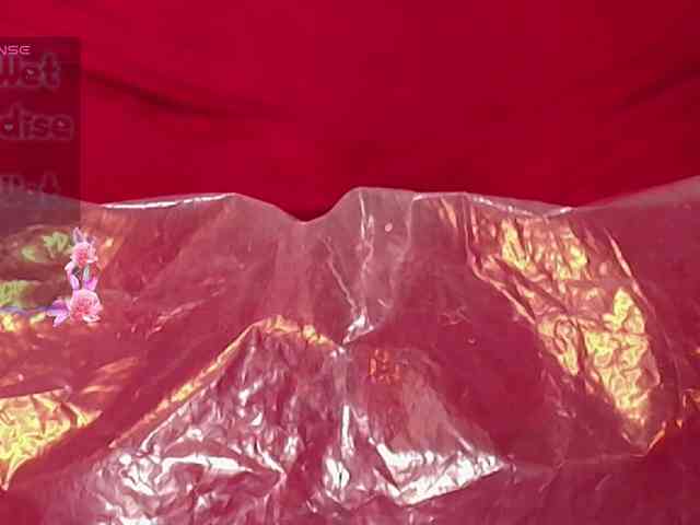 queensquirtluna webcam