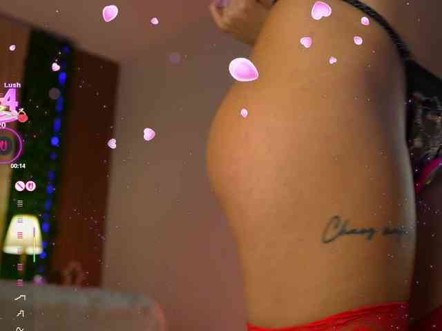 -francescanappi- webcam