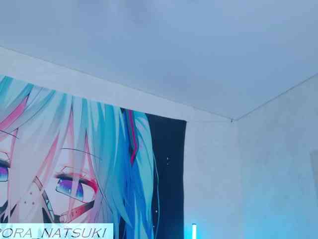Aurora-Natsuki webcam