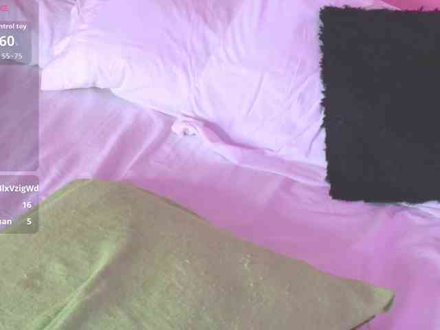 Pammela-Smith webcam