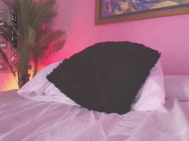 Pammela-Smith webcam