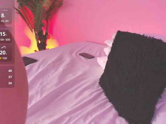 Pammela-Smith webcam