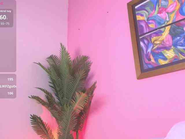 Pammela-Smith webcam