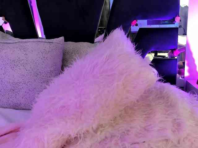 daenerys-cat webcam