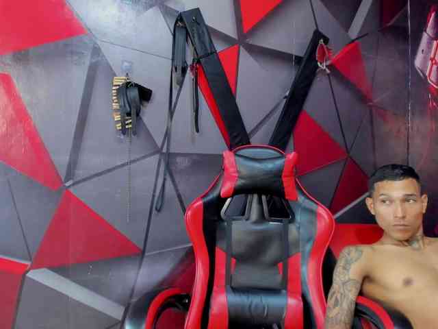 Hana-and-Zeta webcam