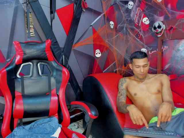 Hana-and-Zeta webcam