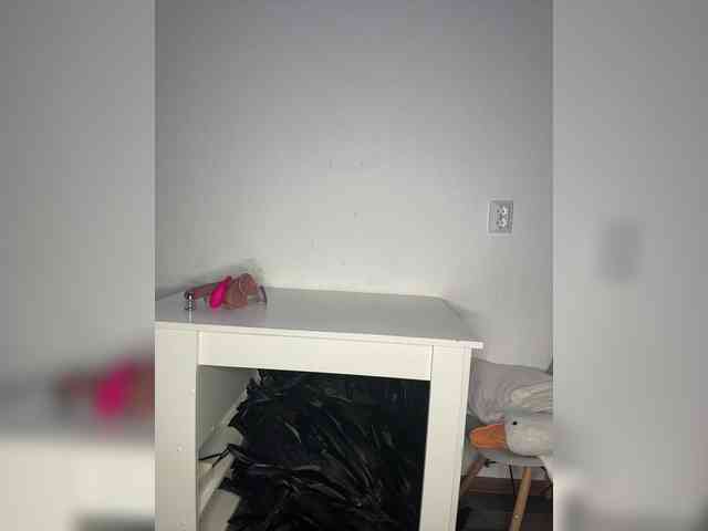 Akadori webcam