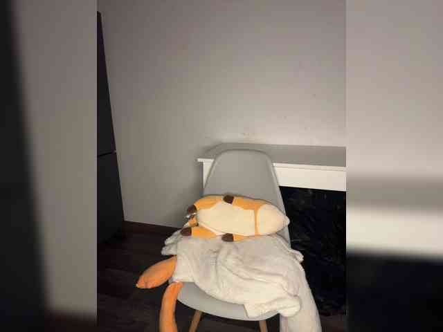 Akadori webcam