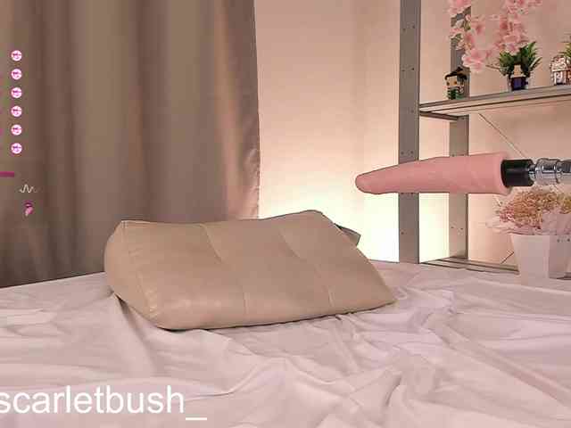 BadStar webcam