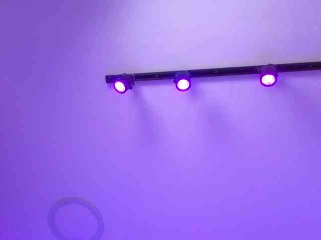 MaiaWatson webcam