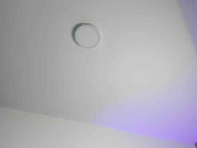 dearvenus webcam
