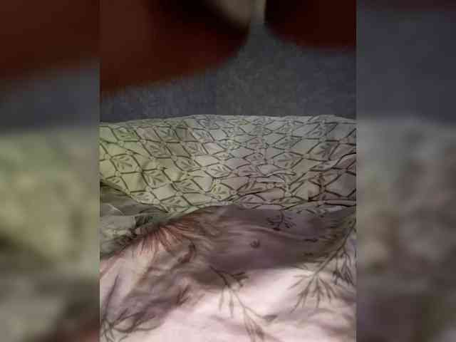Lizes_ webcam