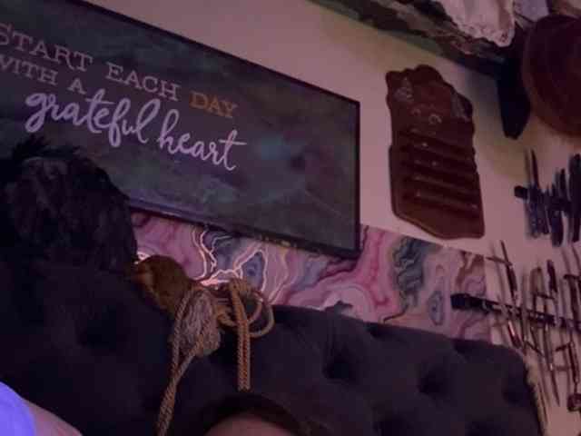 Lostnalice webcam