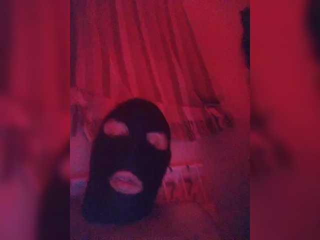 KosmosAndPingvin webcam