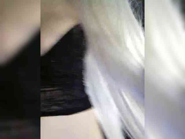 Kuca webcam