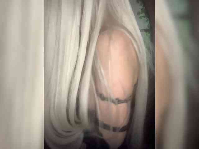 Kuca webcam