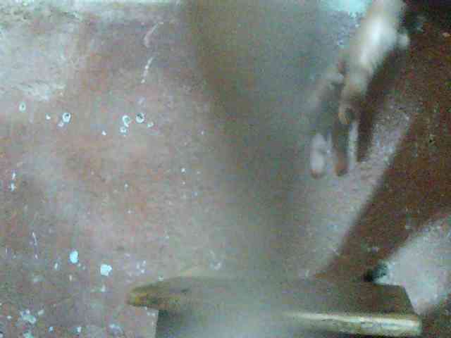 TriciaBella webcam
