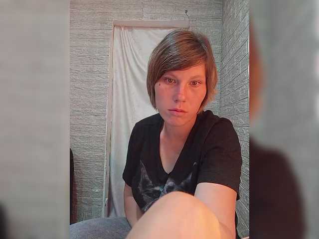 Dmeesk