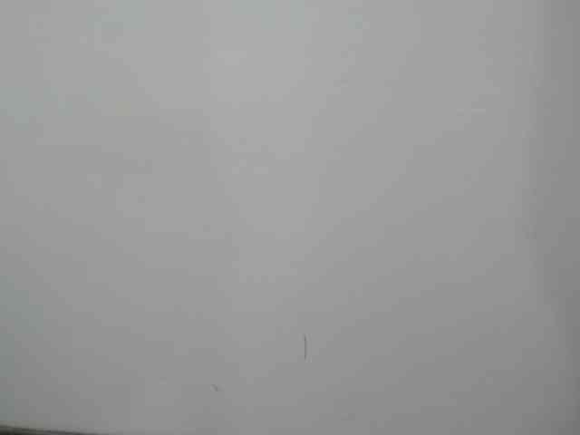 QueenMatturex webcam