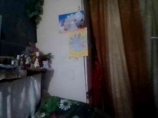 lelaniy webcam