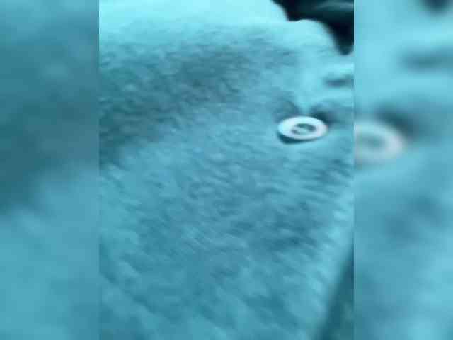 Lasiia webcam