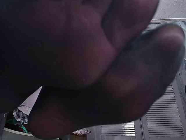 PurrrfectMiko webcam