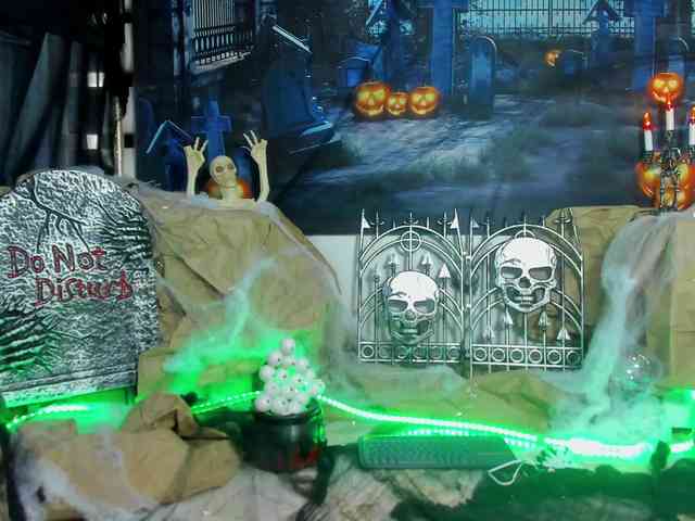 Dashafoxxx webcam