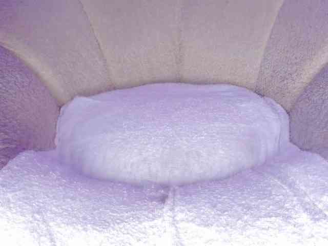 cutte-hanna18 webcam