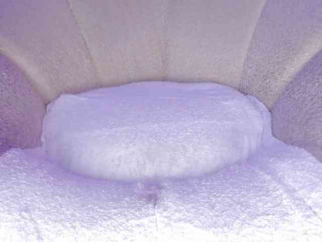 cutte-hanna18 webcam