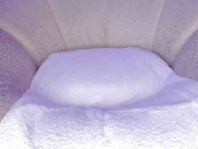 cutte-hanna18 webcam