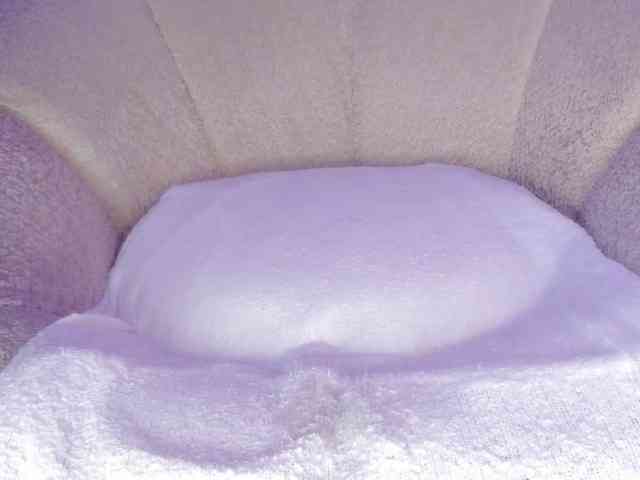 cutte-hanna18 webcam