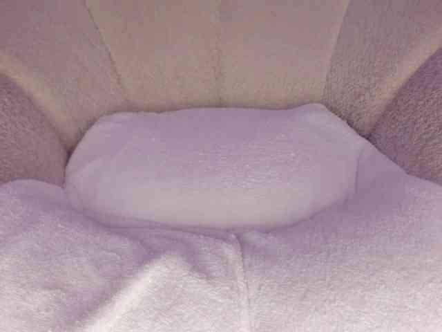 cutte-hanna18 webcam