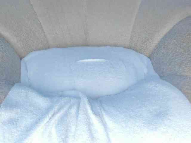 cutte-hanna18 webcam