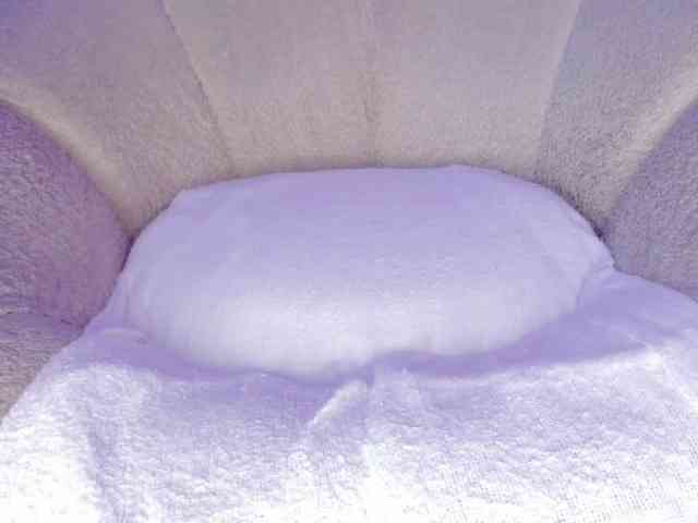 cutte-hanna18 webcam