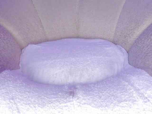 cutte-hanna18 webcam