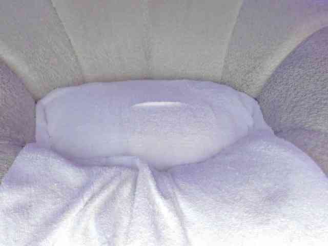 cutte-hanna18 webcam