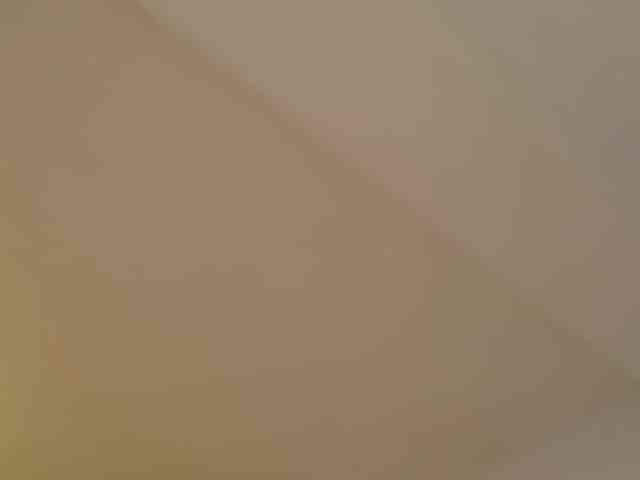 EmilyxJames webcam