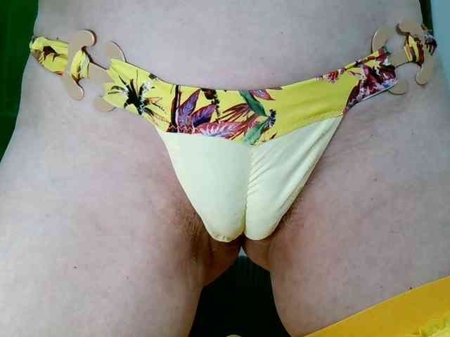 Carolsquirter webcam