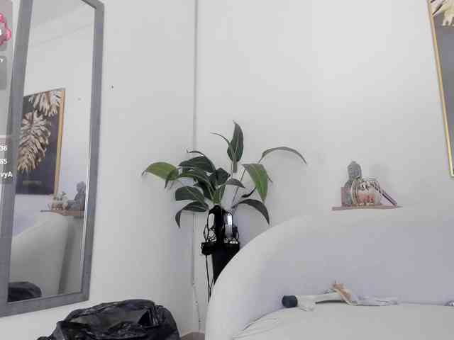 amina-hafssa webcam
