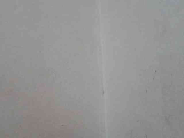 ShafirYoung webcam
