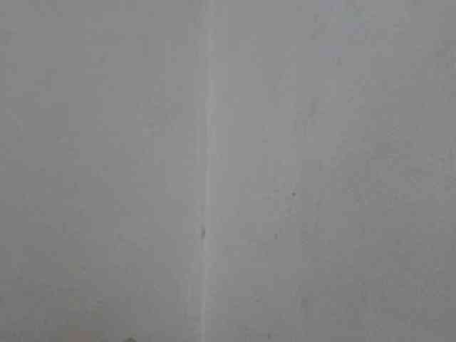 ShafirYoung webcam
