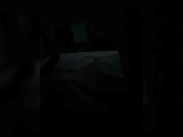 Shtychka webcam
